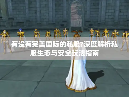 有没有完美国际的私服?深度解析私服生态与安全玩法指南