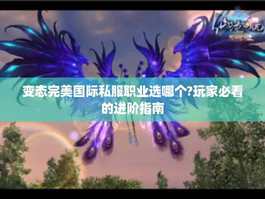 变态完美国际私服职业选哪个?玩家必看的进阶指南 变态完美国际私服职业选哪个?玩家必看的进阶指南