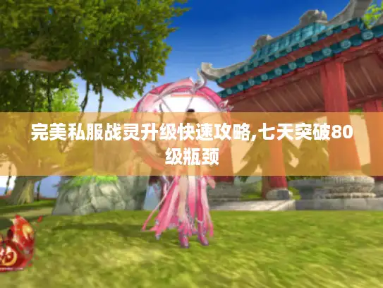 完美私服战灵升级快速攻略,七天突破80级瓶颈