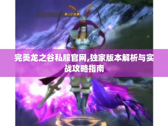 完美龙之谷私服官网,独家版本解析与实战攻略指南