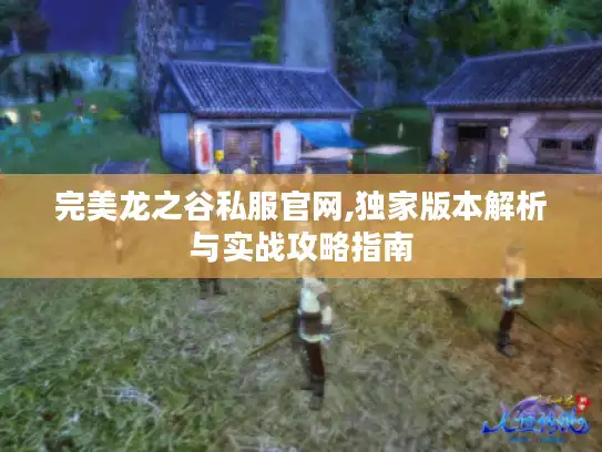 完美龙之谷私服官网,独家版本解析与实战攻略指南