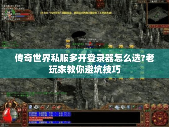 传奇世界私服多开登录器怎么选?老玩家教你避坑技巧