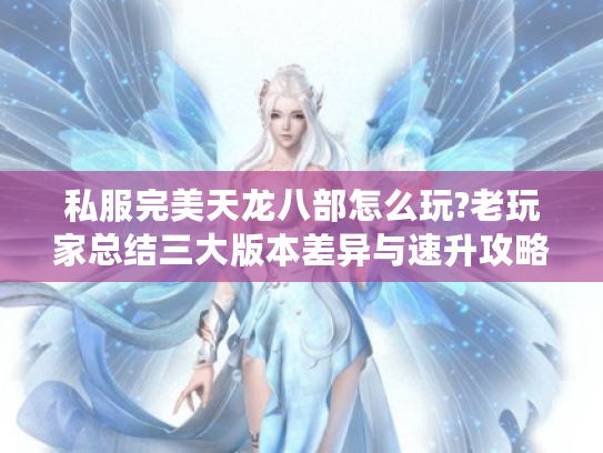 私服完美天龙八部怎么玩?老玩家总结三大版本差异与速升攻略 私服完美天龙八部怎么玩?老玩家总结三大版本差异与速升攻略