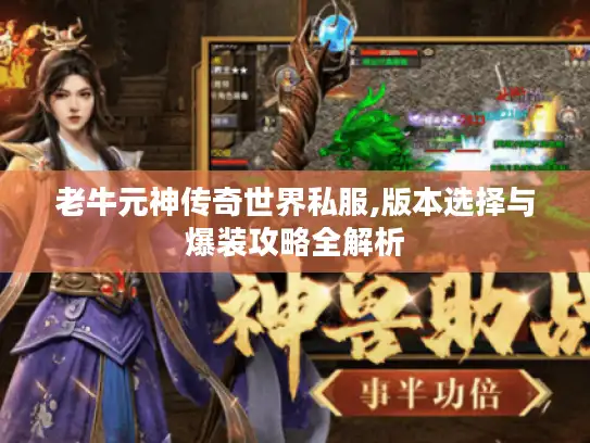 老牛元神传奇世界私服,版本选择与爆装攻略全解析