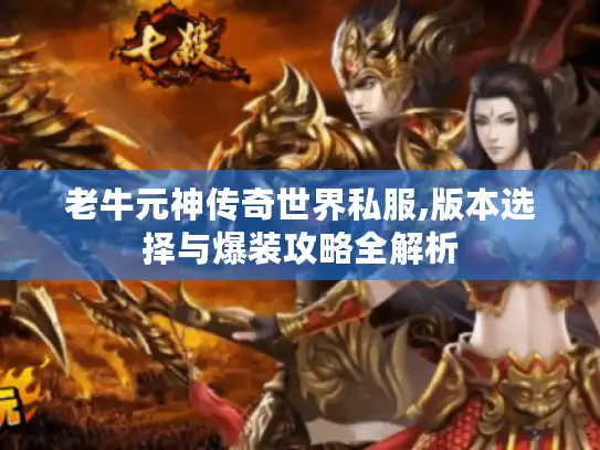 老牛元神传奇世界私服,版本选择与爆装攻略全解析