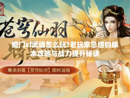 蜀门sf武魂怎么玩?老玩家总结的版本攻略与战力提升秘诀