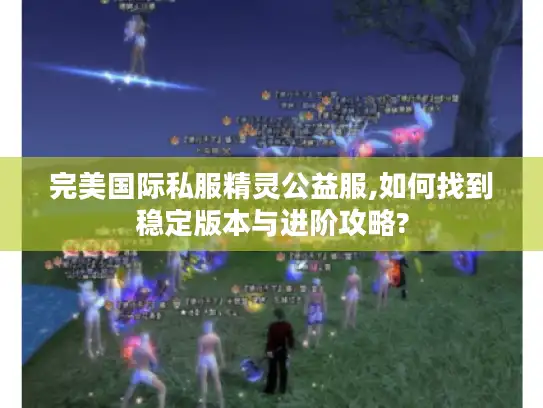 完美国际私服精灵公益服,如何找到稳定版本与进阶攻略?