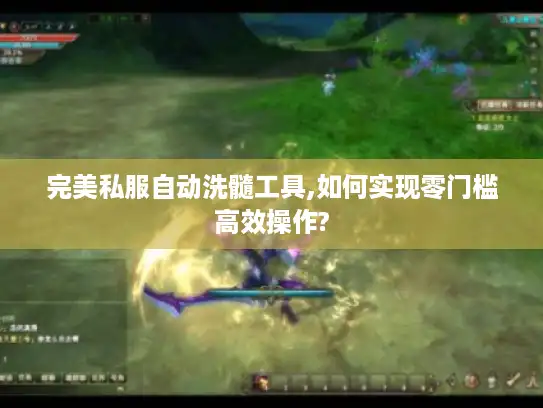 完美私服自动洗髓工具,如何实现零门槛高效操作? 完美私服自动洗髓工具,如何实现零门槛高效操作?