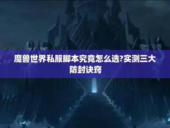 魔兽世界私服脚本究竟怎么选?实测三大防封诀窍