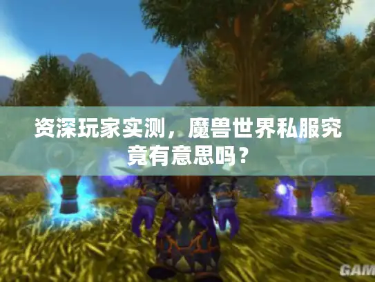资深玩家实测,魔兽世界私服究竟有意思吗? 资深玩家实测,魔兽世界私服究竟有意思吗?