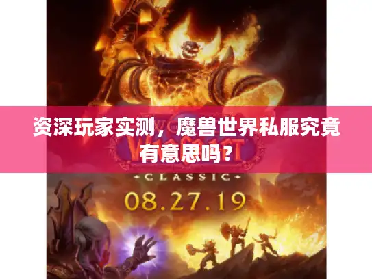 资深玩家实测,魔兽世界私服究竟有意思吗? 资深玩家实测,魔兽世界私服究竟有意思吗?