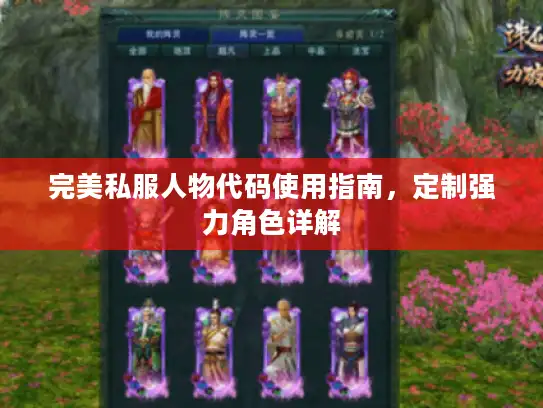 完美私服人物代码使用指南，定制强力角色详解