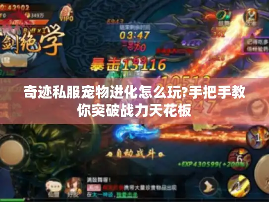 奇迹私服宠物进化怎么玩?手把手教你突破战力天花板