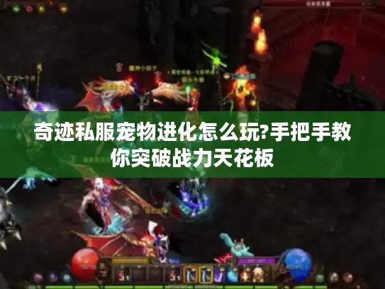 奇迹私服宠物进化怎么玩?手把手教你突破战力天花板