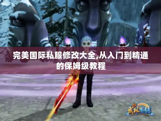 完美国际私服修改大全,从入门到精通的保姆级教程