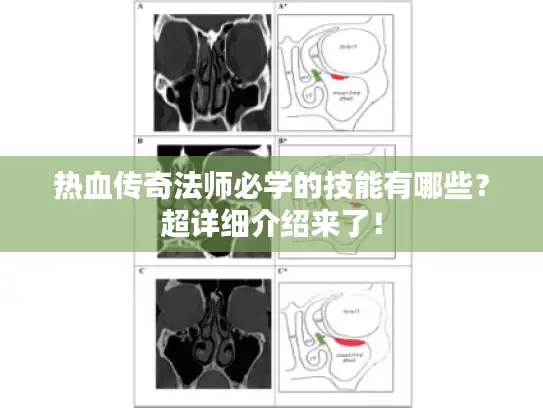 热血传奇法师必学的技能有哪些？超详细介绍来了！