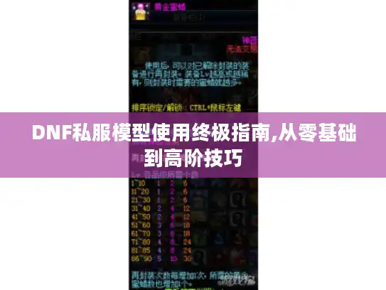 DNF私服模型使用终极指南,从零基础到高阶技巧 DNF私服模型使用终极指南,从零基础到高阶技巧