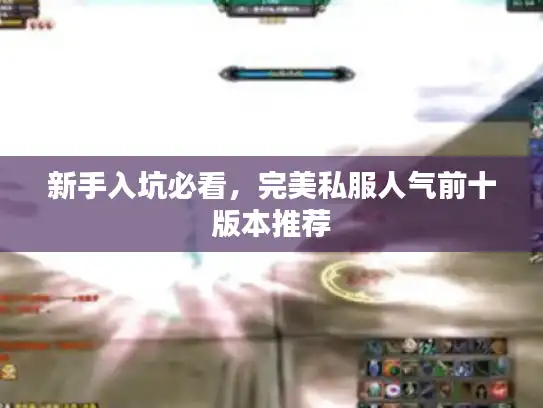 新手入坑必看,完美私服人气前十版本推荐 新手入坑必看,完美私服人气前十版本推荐