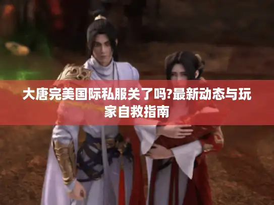 大唐完美国际私服关了吗?最新动态与玩家自救指南