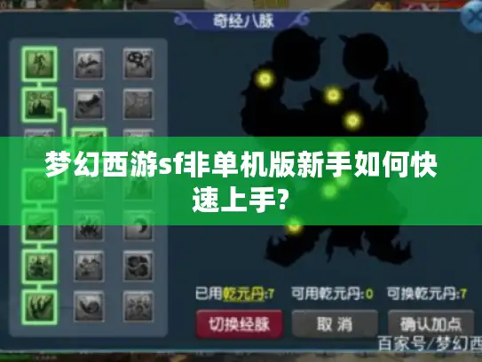 梦幻西游sf非单机版新手如何快速上手?