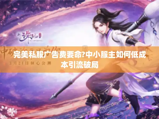 完美私服广告费要命?中小服主如何低成本引流破局