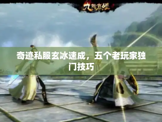 奇迹私服玄冰速成,五个老玩家独门技巧 奇迹私服玄冰速成,五个老玩家独门技巧