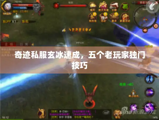 奇迹私服玄冰速成,五个老玩家独门技巧 奇迹私服玄冰速成,五个老玩家独门技巧
