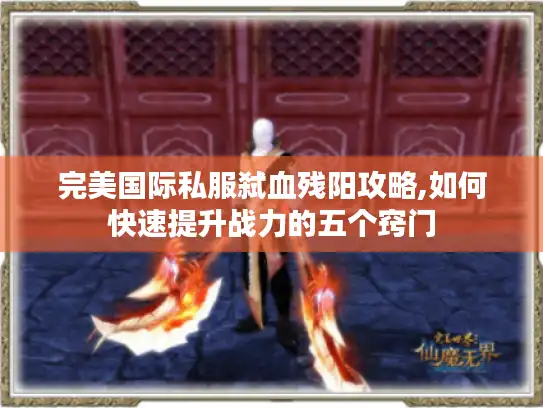 完美国际私服弑血残阳攻略,如何快速提升战力的五个窍门