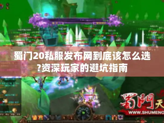 蜀门20私服发布网到底该怎么选?资深玩家的避坑指南
