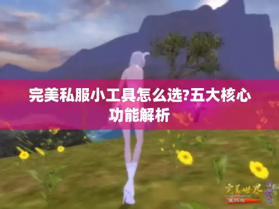 完美私服小工具怎么选?五大核心功能解析