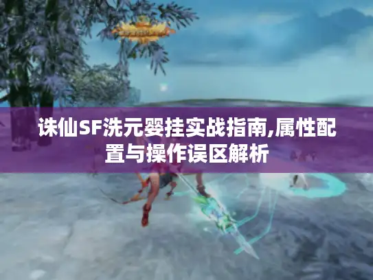 诛仙SF洗元婴挂实战指南,属性配置与操作误区解析