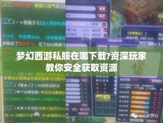 梦幻西游私服在哪下载?资深玩家教你安全获取资源