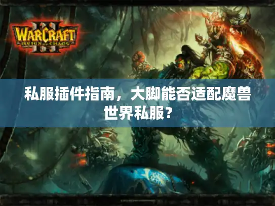 私服插件指南，大脚能否适配魔兽世界私服？