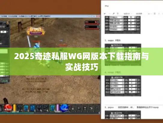2025奇迹私服WG网版本下载指南与实战技巧