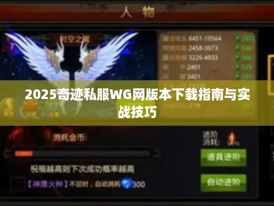 2025奇迹私服WG网版本下载指南与实战技巧