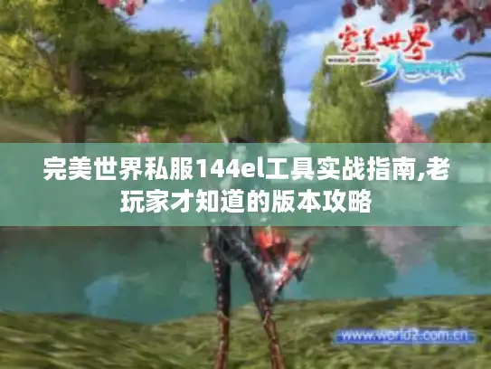 完美世界私服144el工具实战指南,老玩家才知道的版本攻略 完美世界私服144el工具实战指南,老玩家才知道的版本攻略