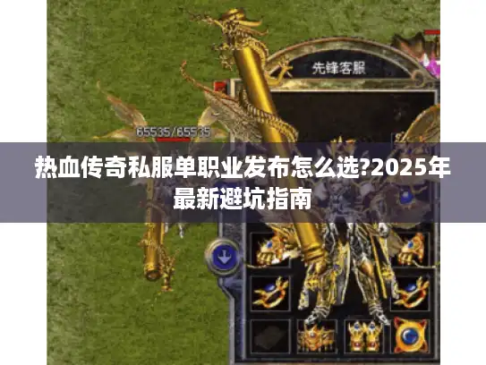 热血传奇私服单职业发布怎么选?2025年最新避坑指南