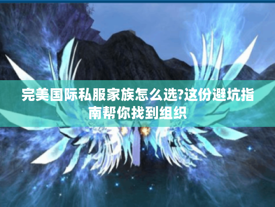 完美国际私服家族怎么选?这份避坑指南帮你找到组织