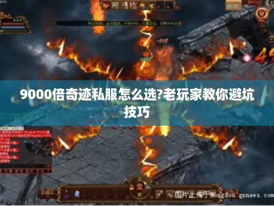 9000倍奇迹私服怎么选?老玩家教你避坑技巧