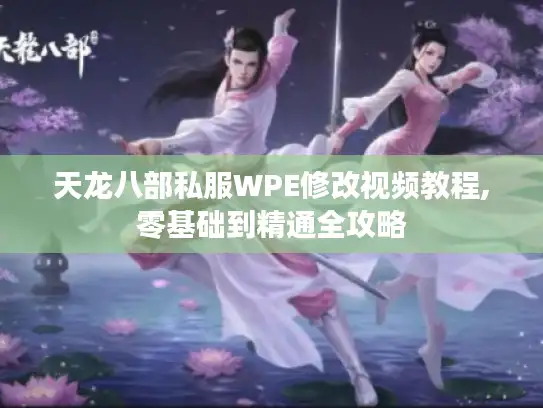 天龙八部私服WPE修改视频教程,零基础到精通全攻略