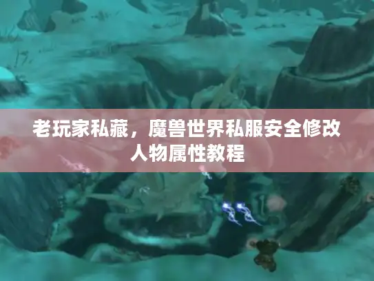 老玩家私藏，魔兽世界私服安全修改人物属性教程