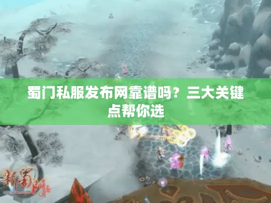 蜀门私服发布网靠谱吗？三大关键点帮你选