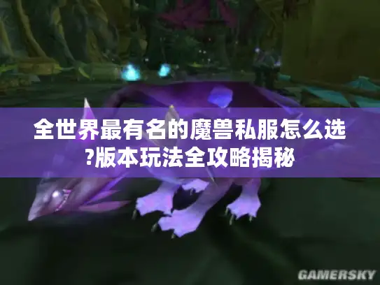 全世界最有名的魔兽私服怎么选?版本玩法全攻略揭秘