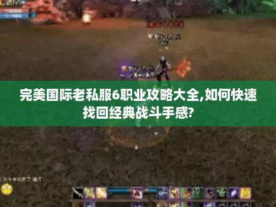 完美国际老私服6职业攻略大全,如何快速找回经典战斗手感?