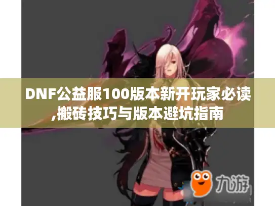 DNF公益服100版本新开玩家必读,搬砖技巧与版本避坑指南