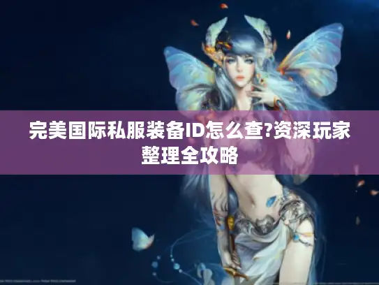 完美国际私服装备ID怎么查?资深玩家整理全攻略 完美国际私服装备ID怎么查?资深玩家整理全攻略