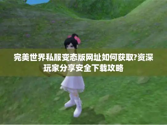 完美世界私服变态版网址如何获取?资深玩家分享安全下载攻略