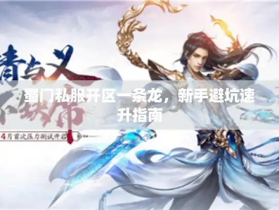 蜀门私服开区一条龙，新手避坑速升指南