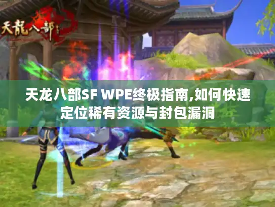 天龙八部SF WPE终极指南,如何快速定位稀有资源与封包漏洞