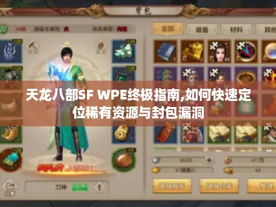 天龙八部SF WPE终极指南,如何快速定位稀有资源与封包漏洞